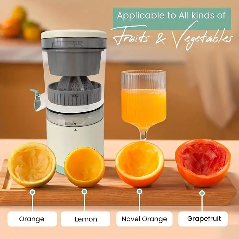 Mini Fruit Juicer