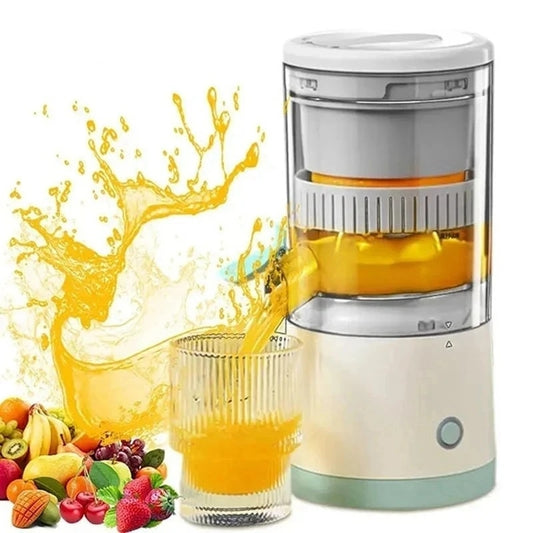 Mini Fruit Juicer